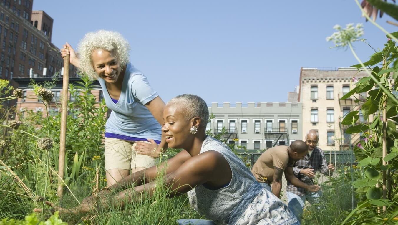 Assistenza alla comunit&agrave;