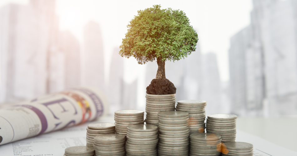 WCC Commends Mayor’s Commitment to Address Education & Community Well-being