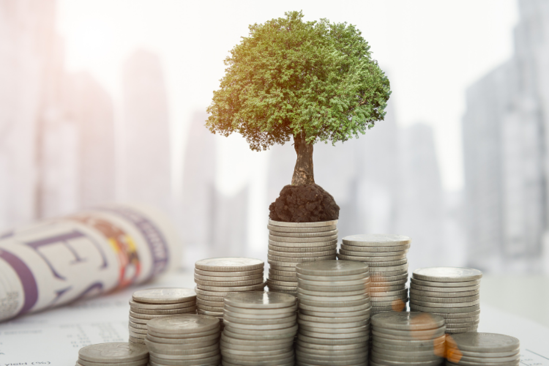 WCC Commends Mayor’s Commitment to Address Education & Community Well-being