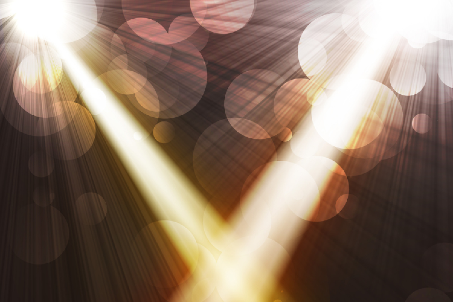 Spotlight: New Board Member Dr. Kangela Moore